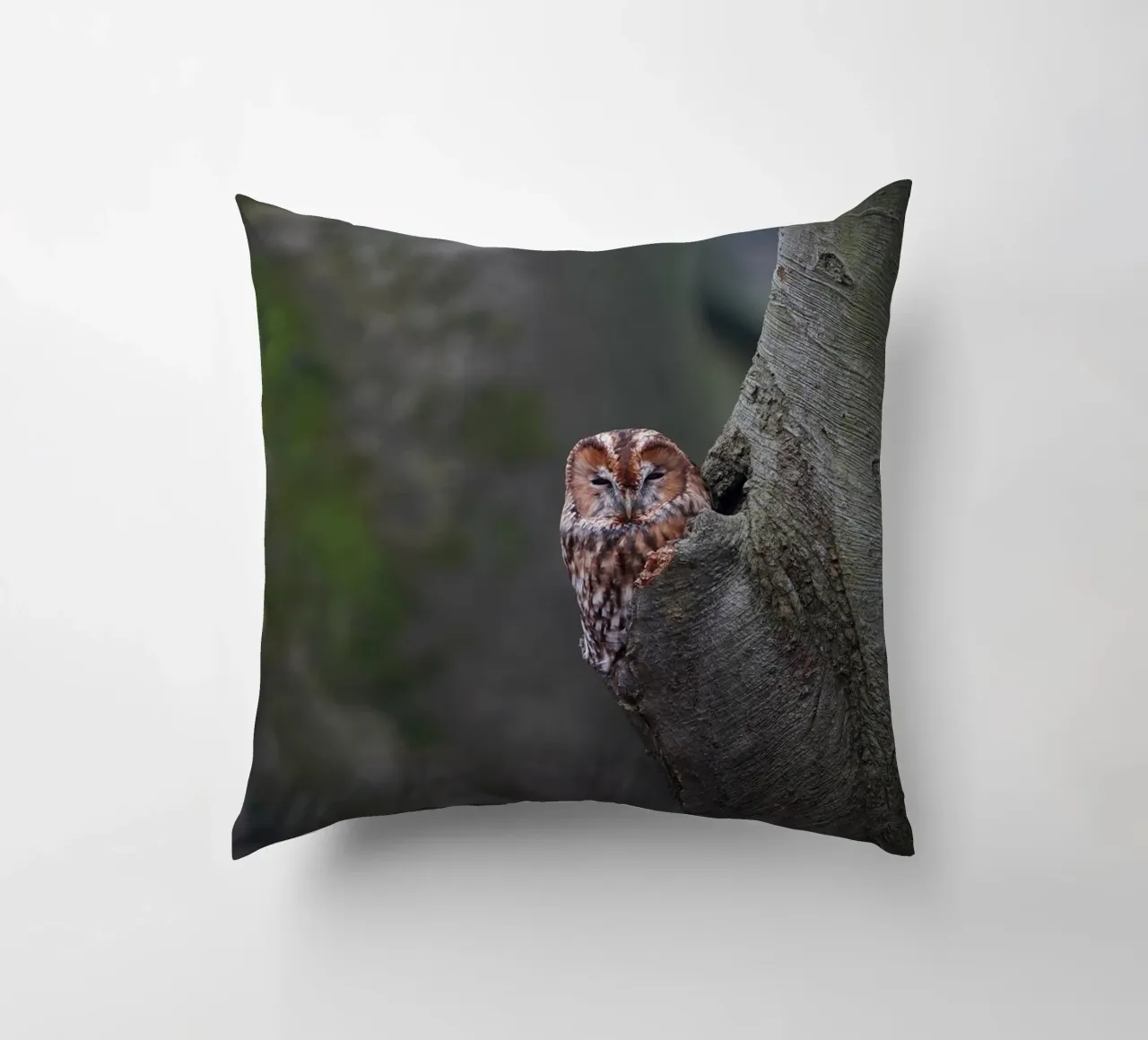 Allocco cuscino da Tom's Wildlife