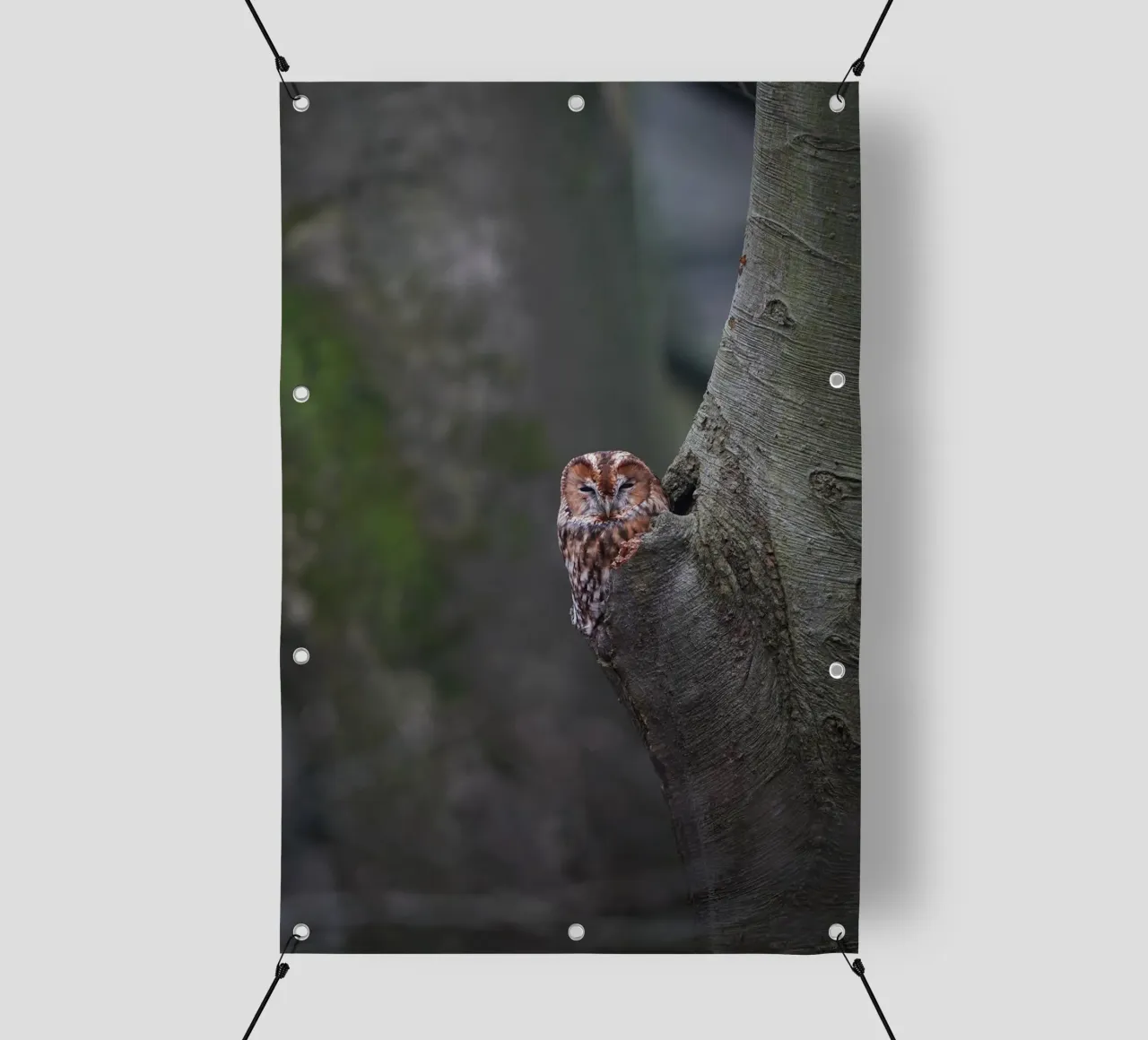 Allocco telo in pvc da Tom's Wildlife