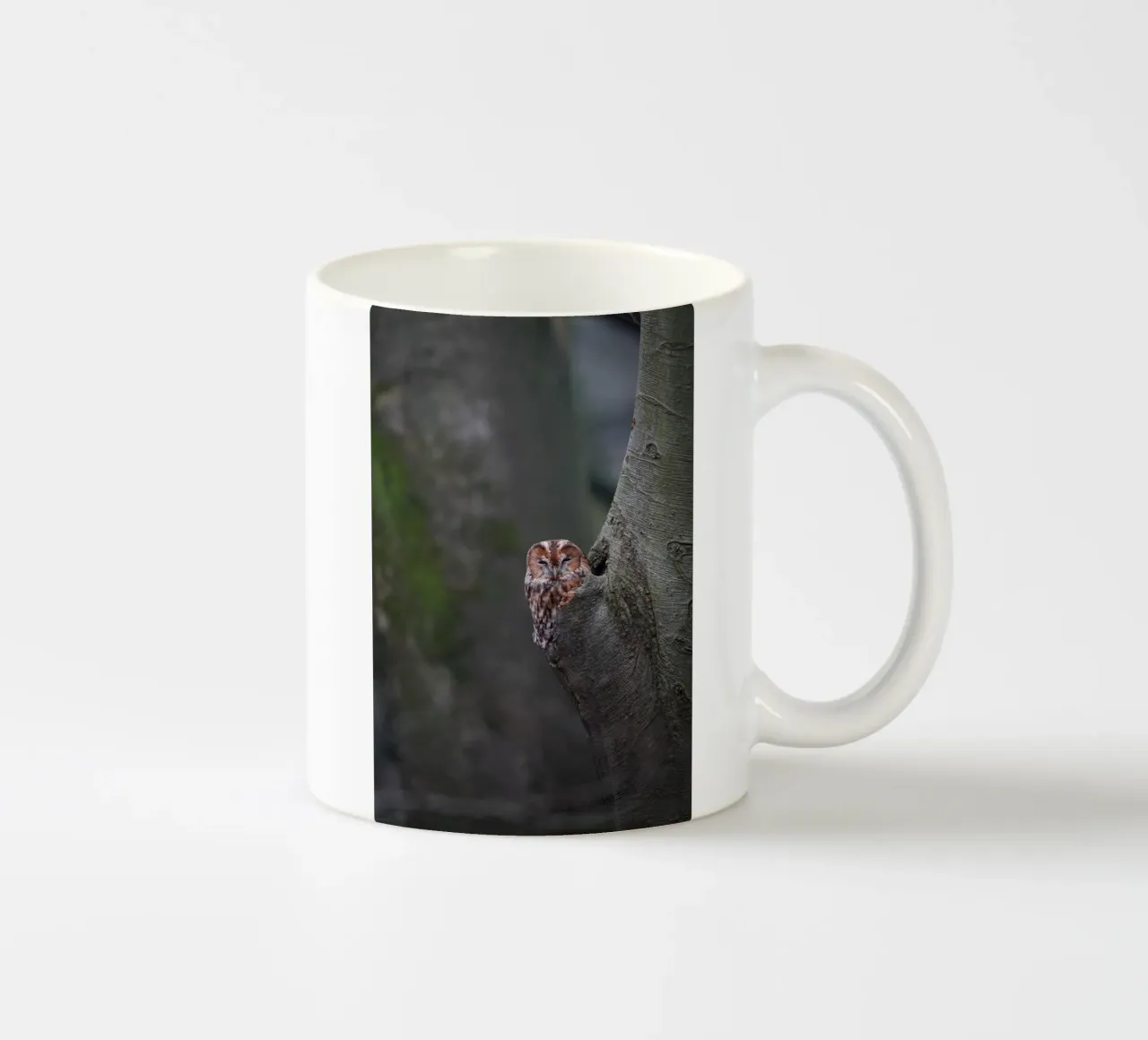 Allocco tazza in ceramica da Tom's Wildlife