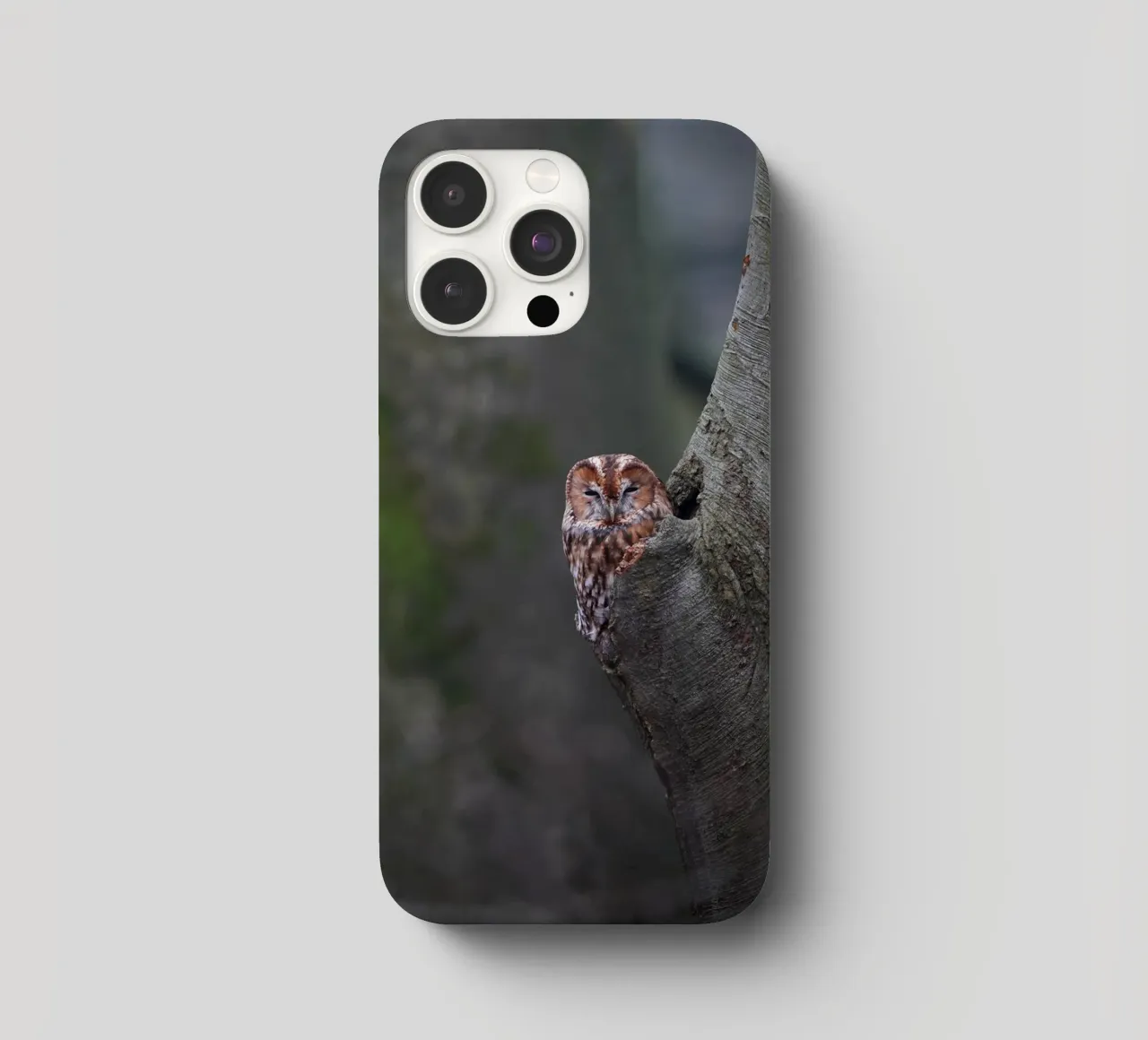 Allocco cover iphone da Tom's Wildlife