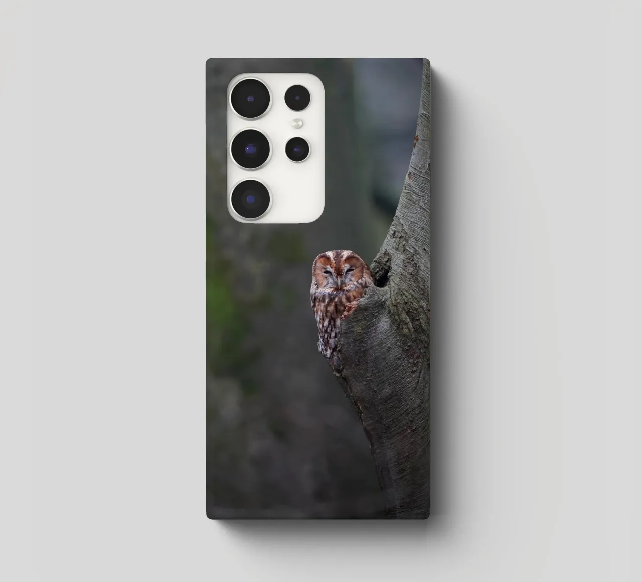 Allocco cover samsung da Tom's Wildlife