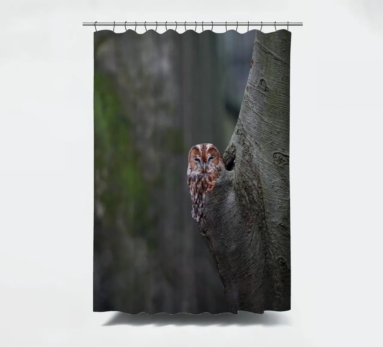 Allocco tenda da doccia da Tom's Wildlife