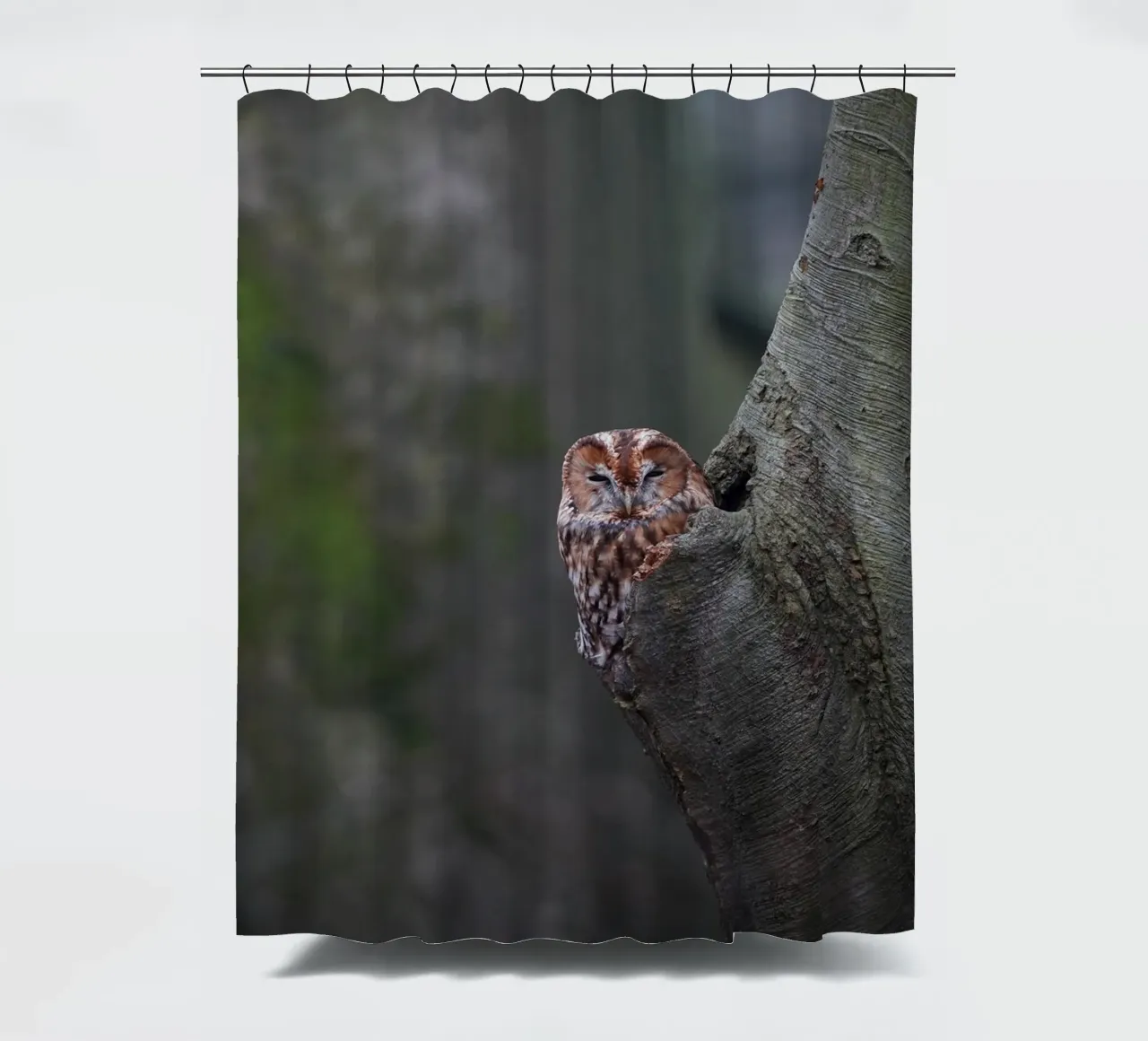 Allocco tenda da doccia da Tom's Wildlife