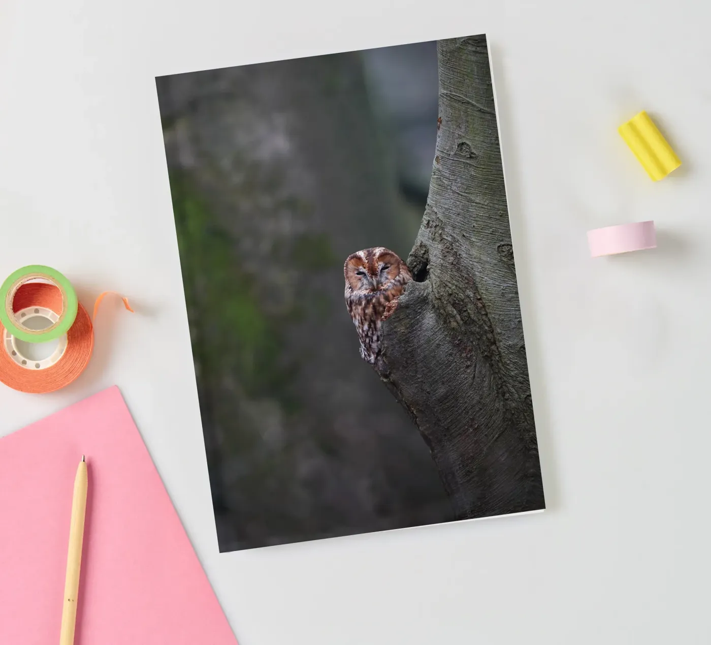 Tawny Owl Notizbuch von Tom's Wildlife