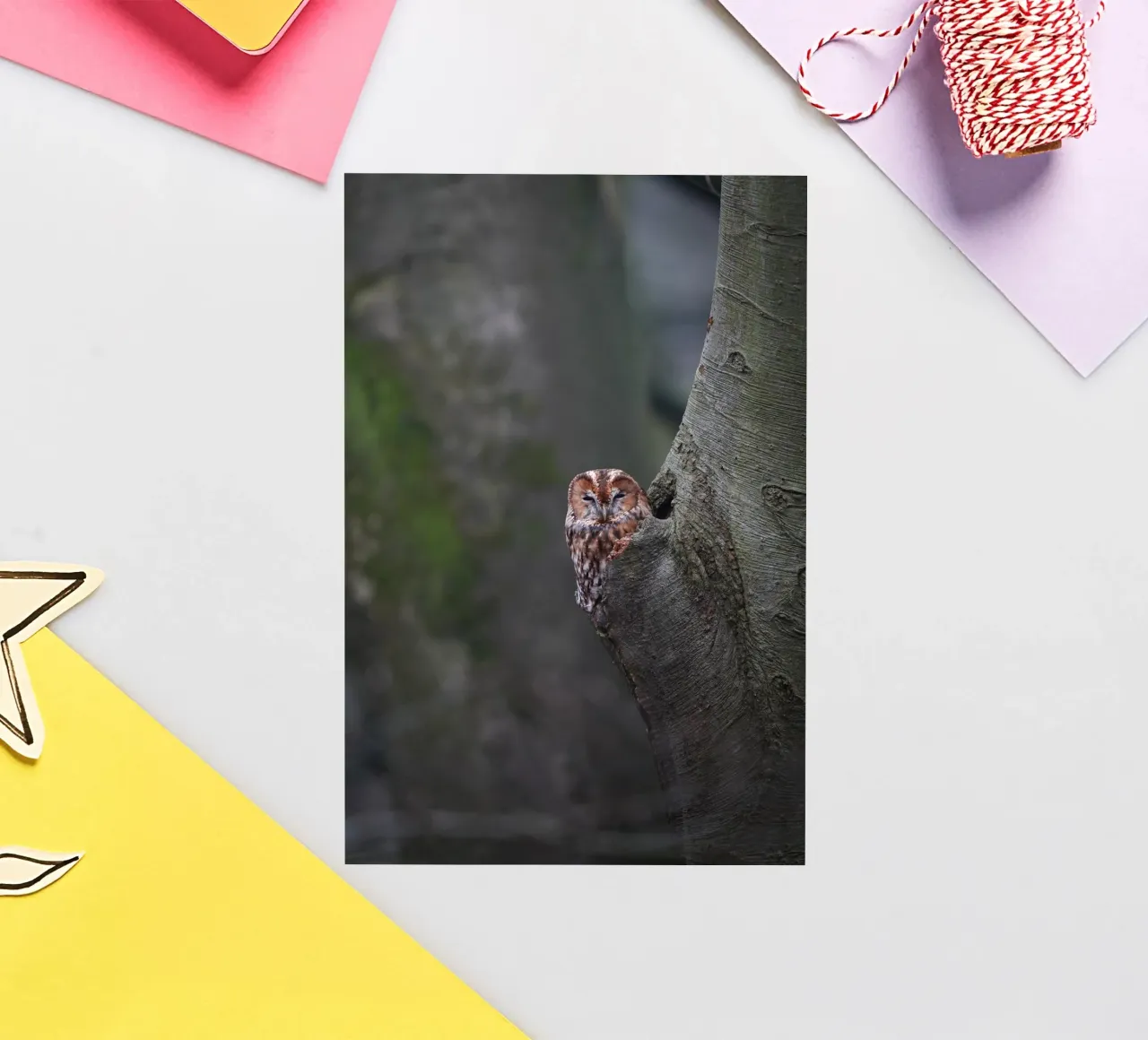 Bosuil sticker van Tom's Wildlife