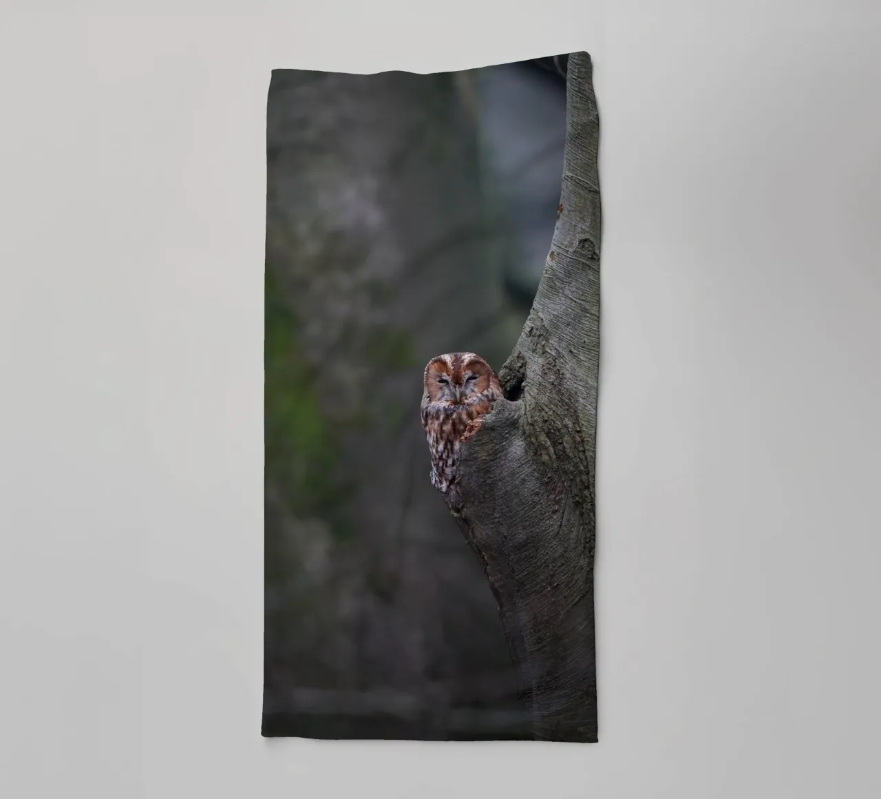 Allocco asciugamano da bagno da Tom's Wildlife