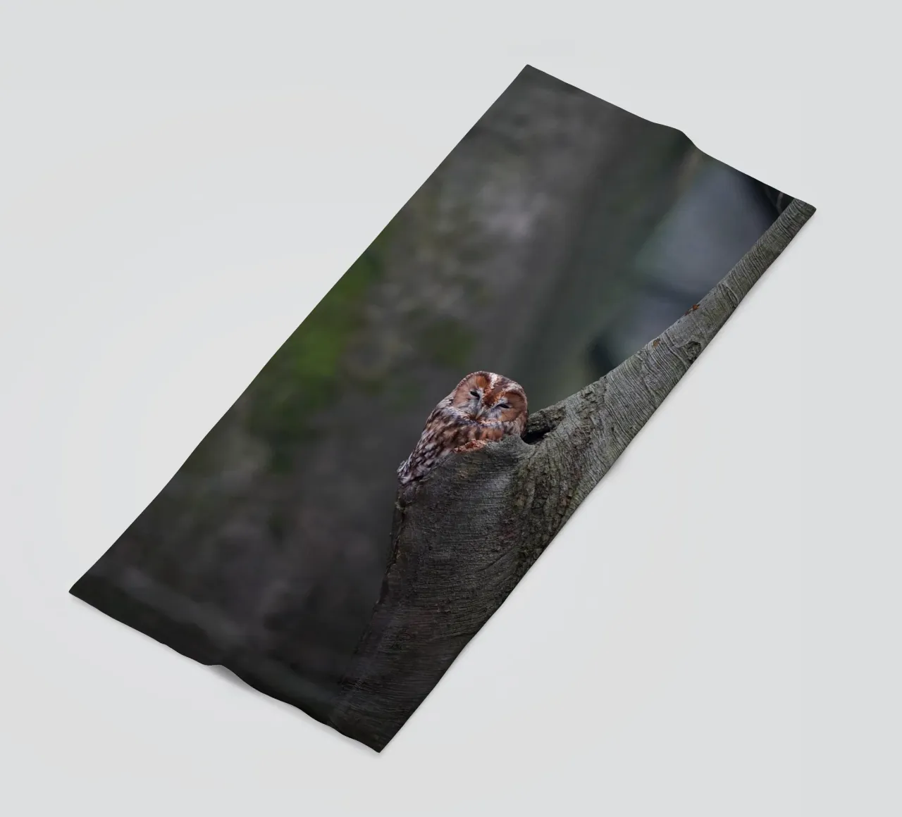 Waldkauz Strandtuch von Tom's Wildlife