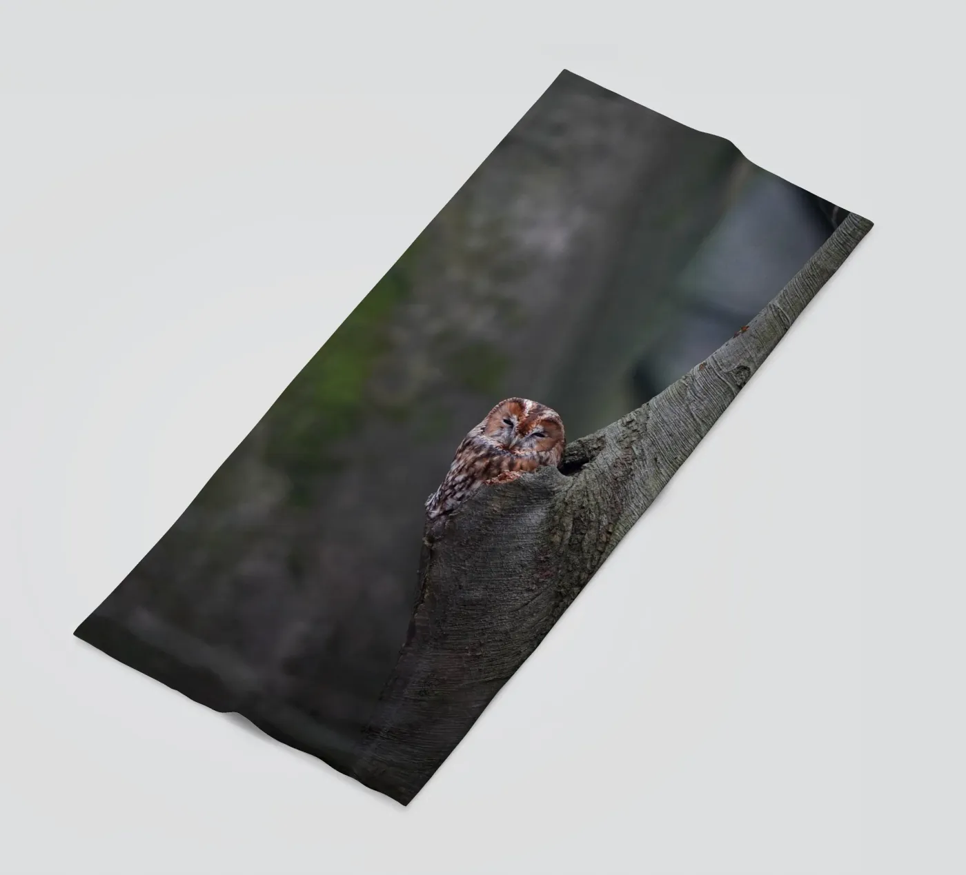 Chouette hulotte serviette de plage de Tom's Wildlife