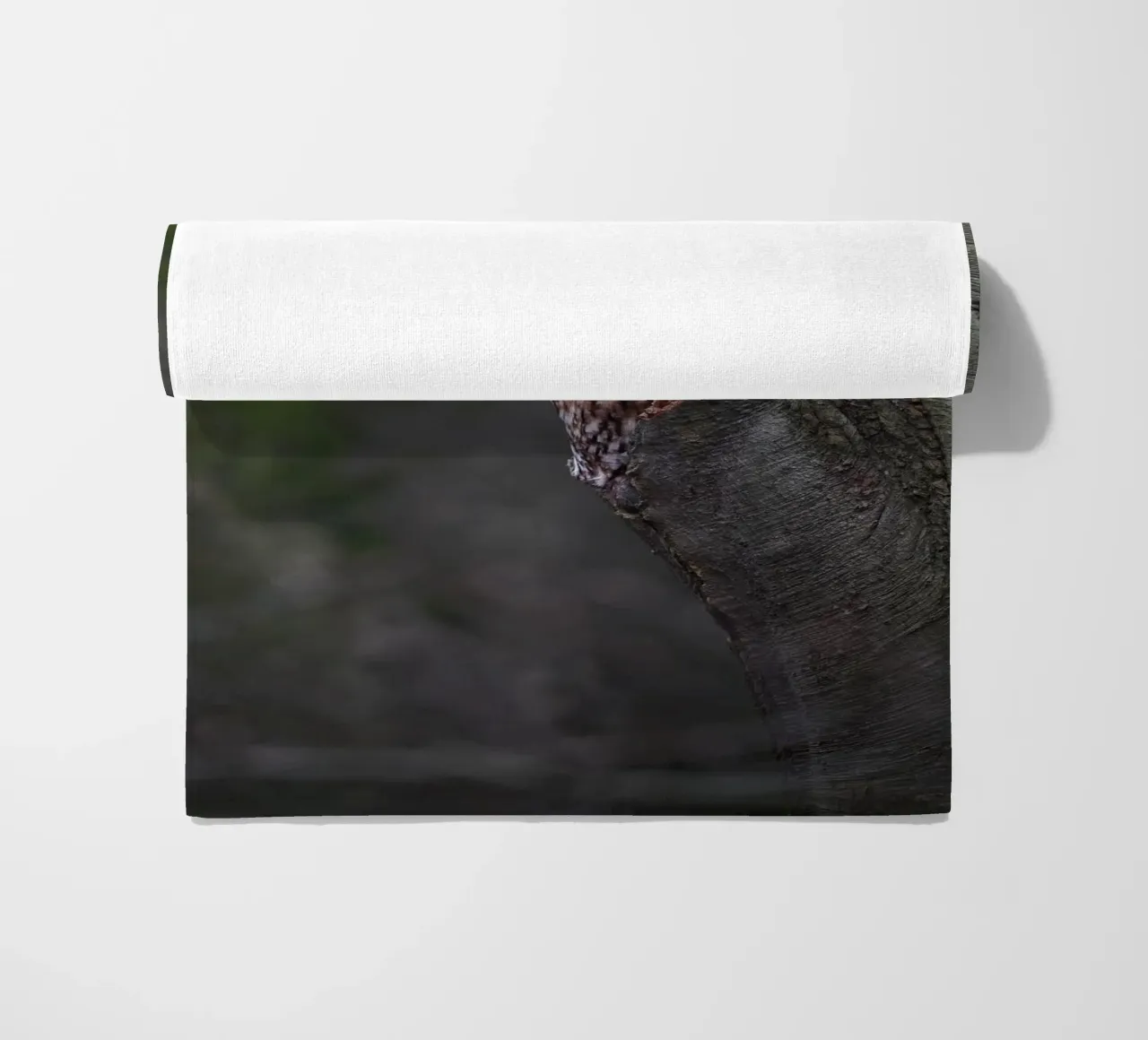 Waldkauz Strandtuch von Tom's Wildlife