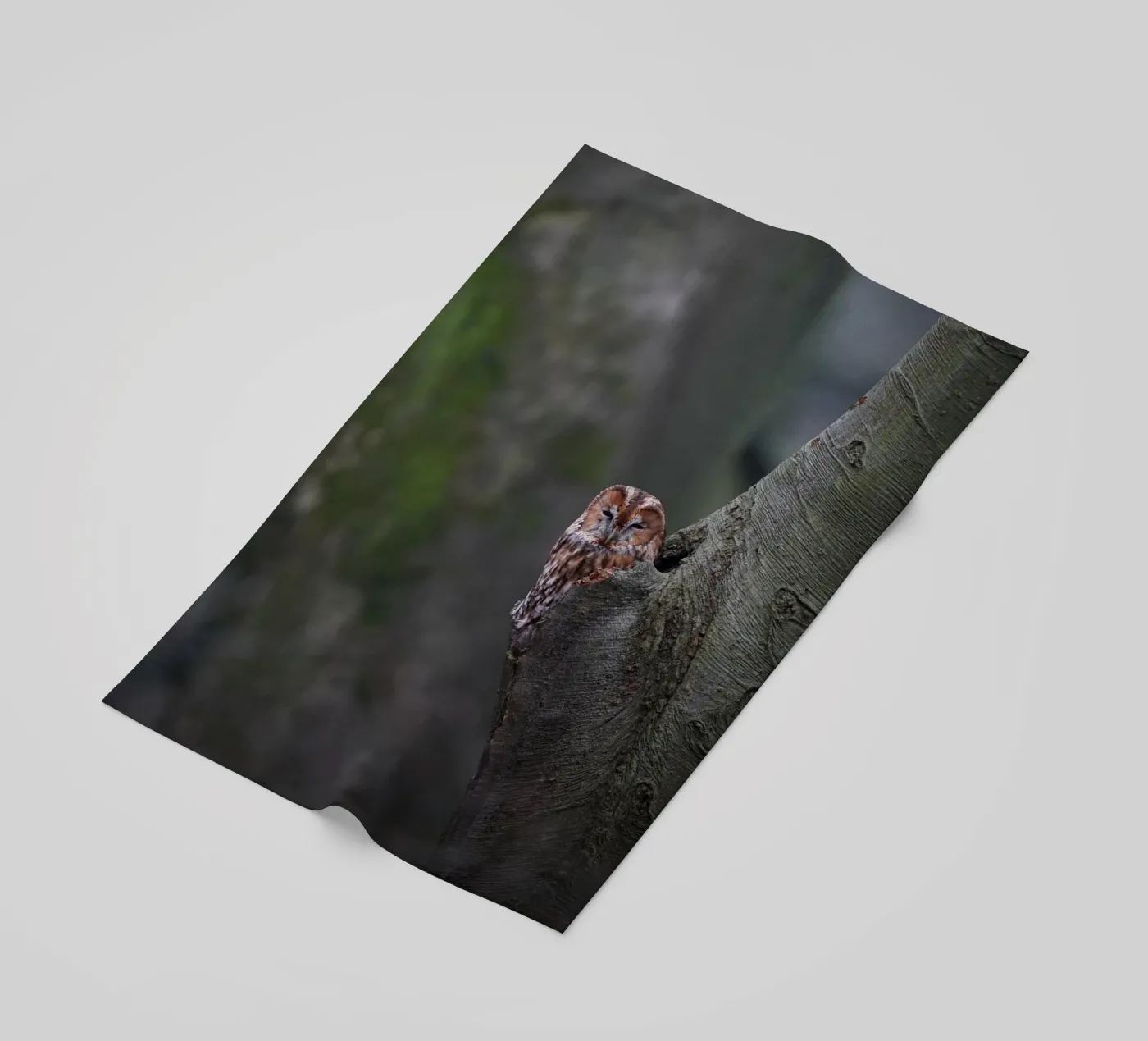 Chouette hulotte serviette de plage de Tom's Wildlife