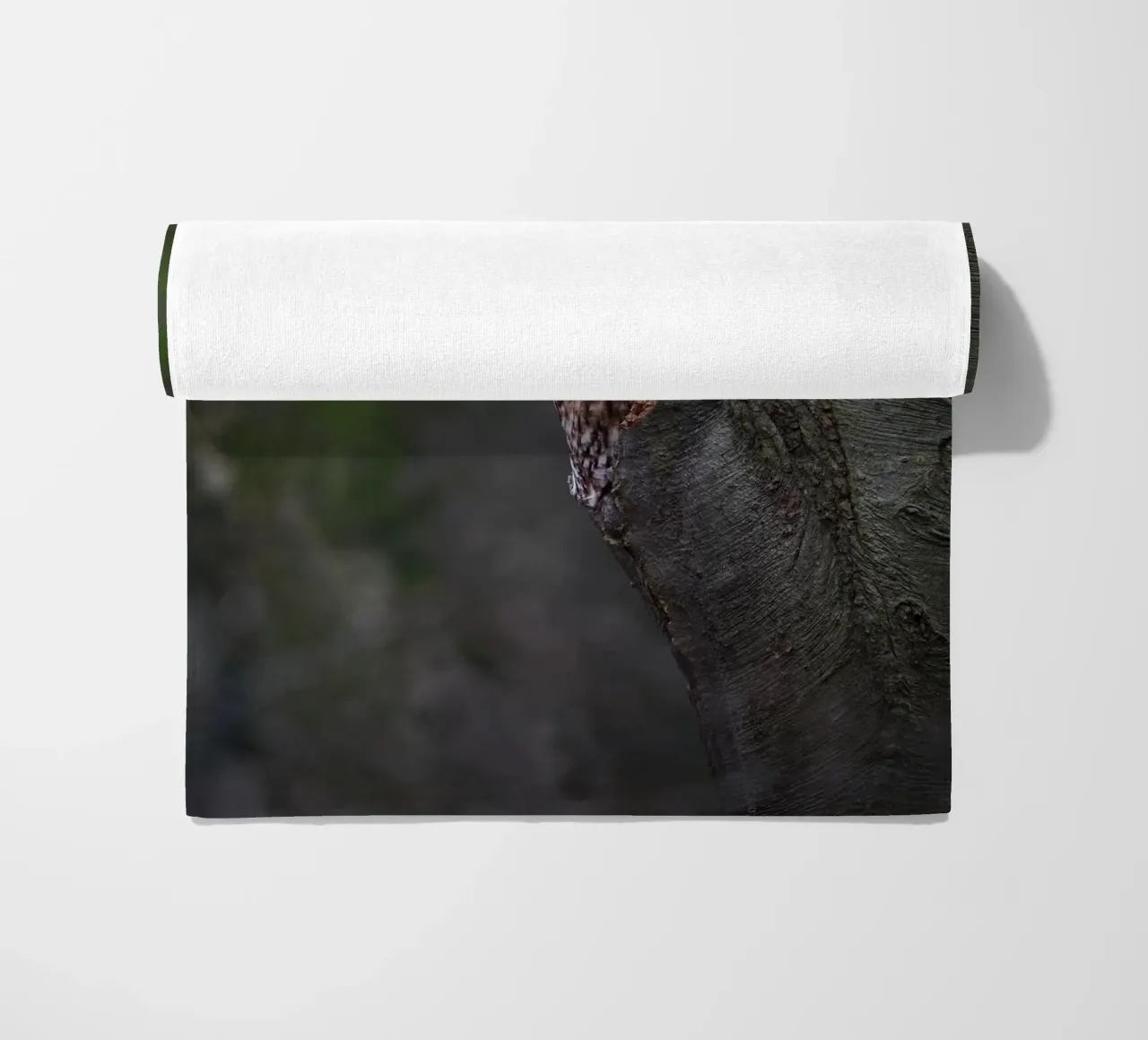 Waldkauz Strandtuch von Tom's Wildlife