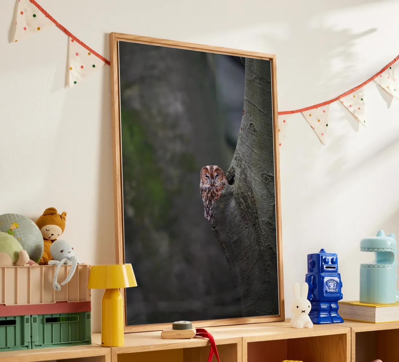 Waldkauz Acryl-Glas von Tom's Wildlife