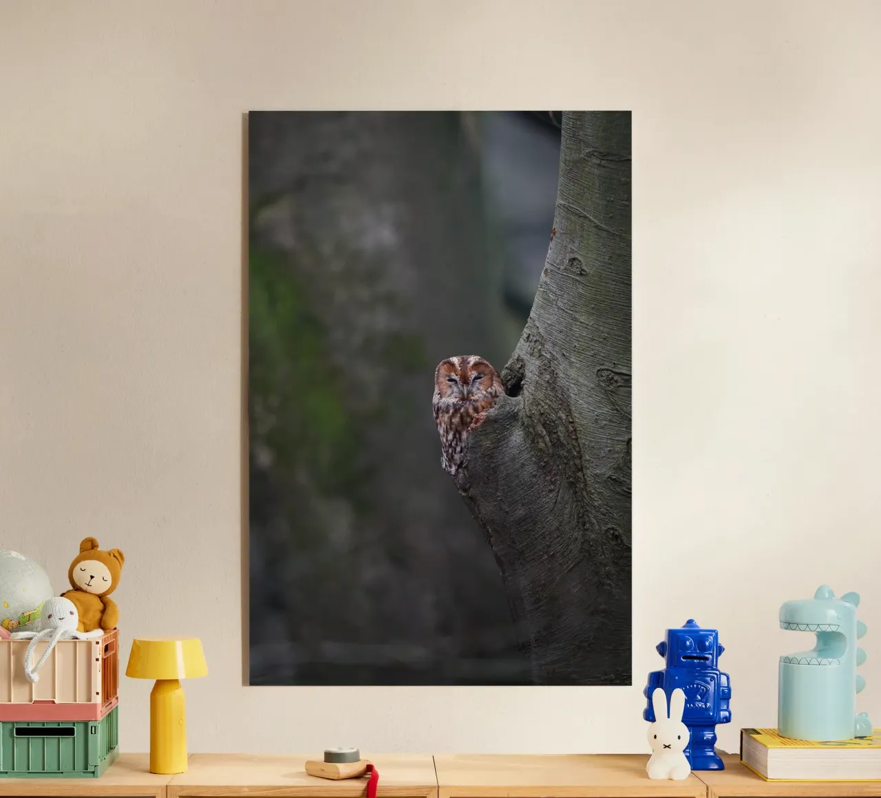 Allocco plexiglass da Tom's Wildlife