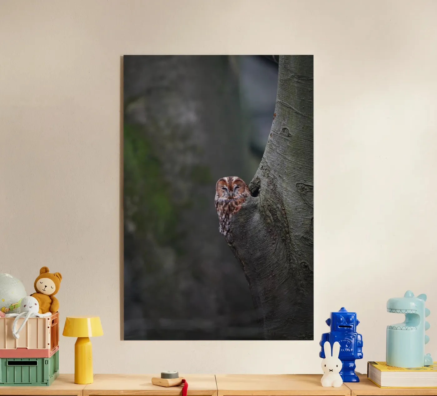 Waldkauz Acryl-Glas von Tom's Wildlife