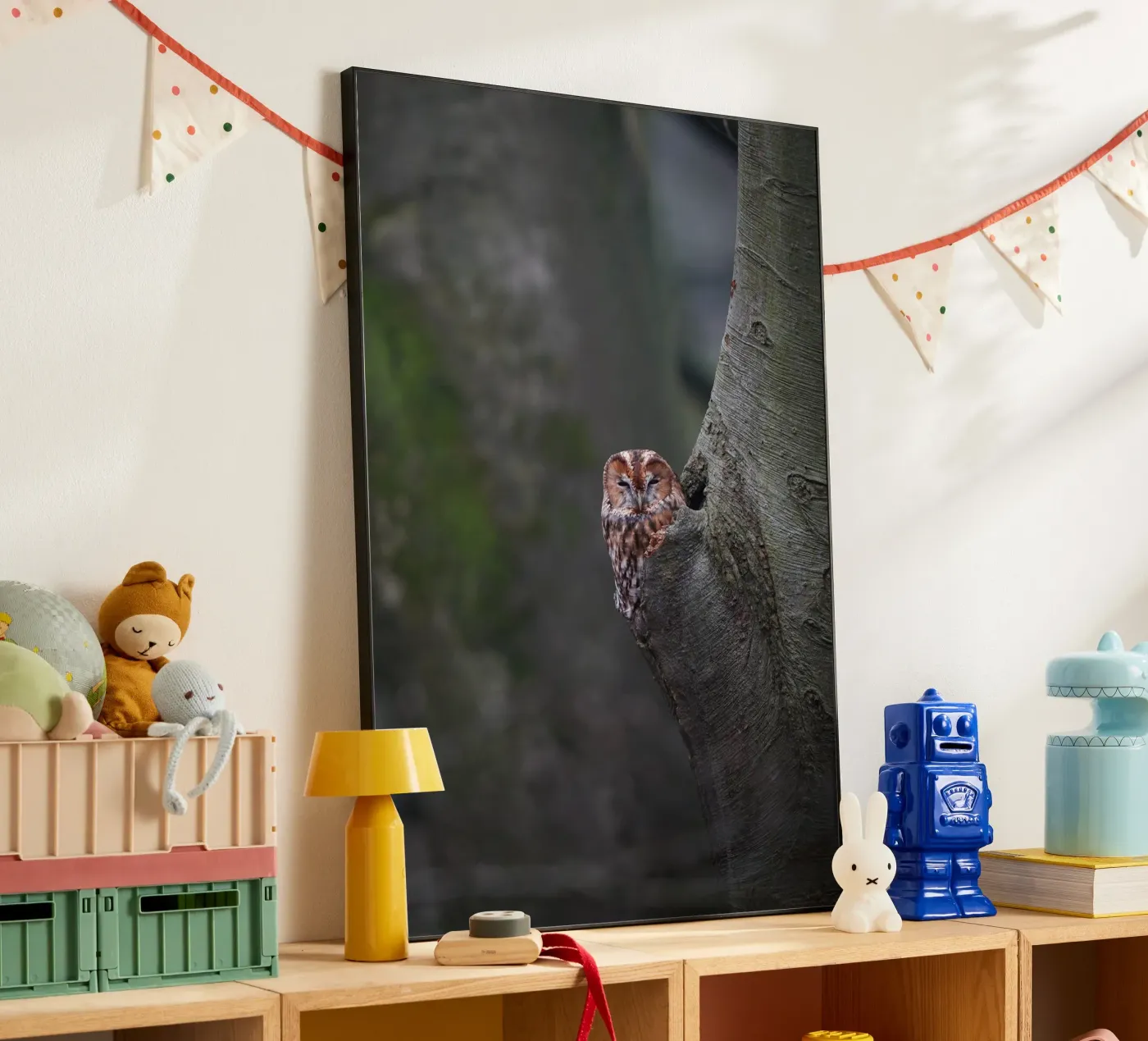 Allocco pannello forex da Tom's Wildlife