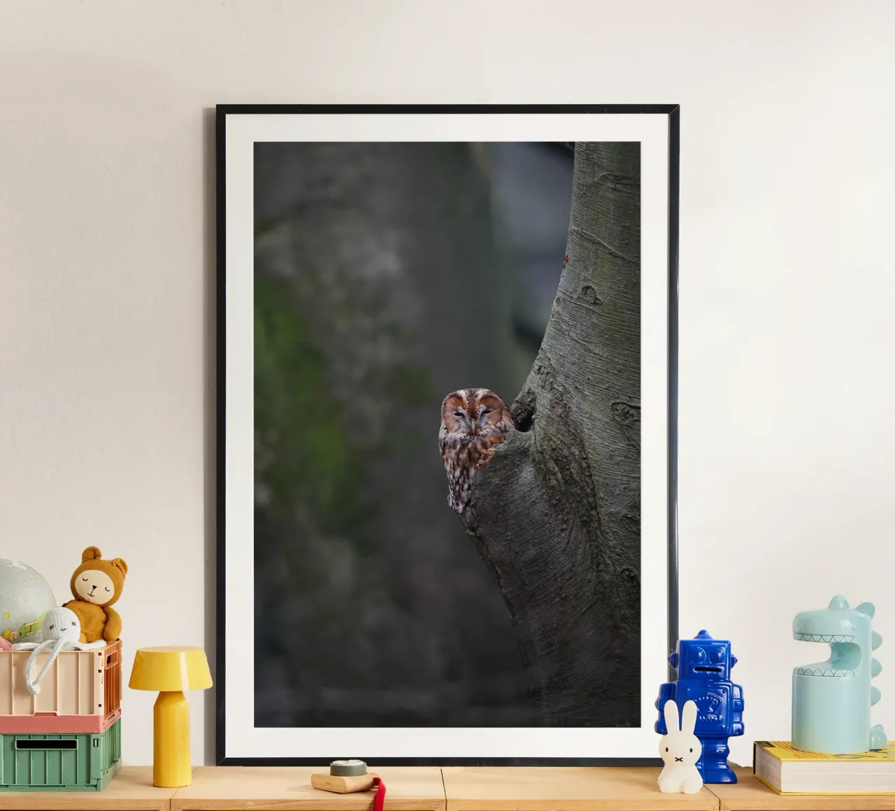 Allocco poster da Tom's Wildlife