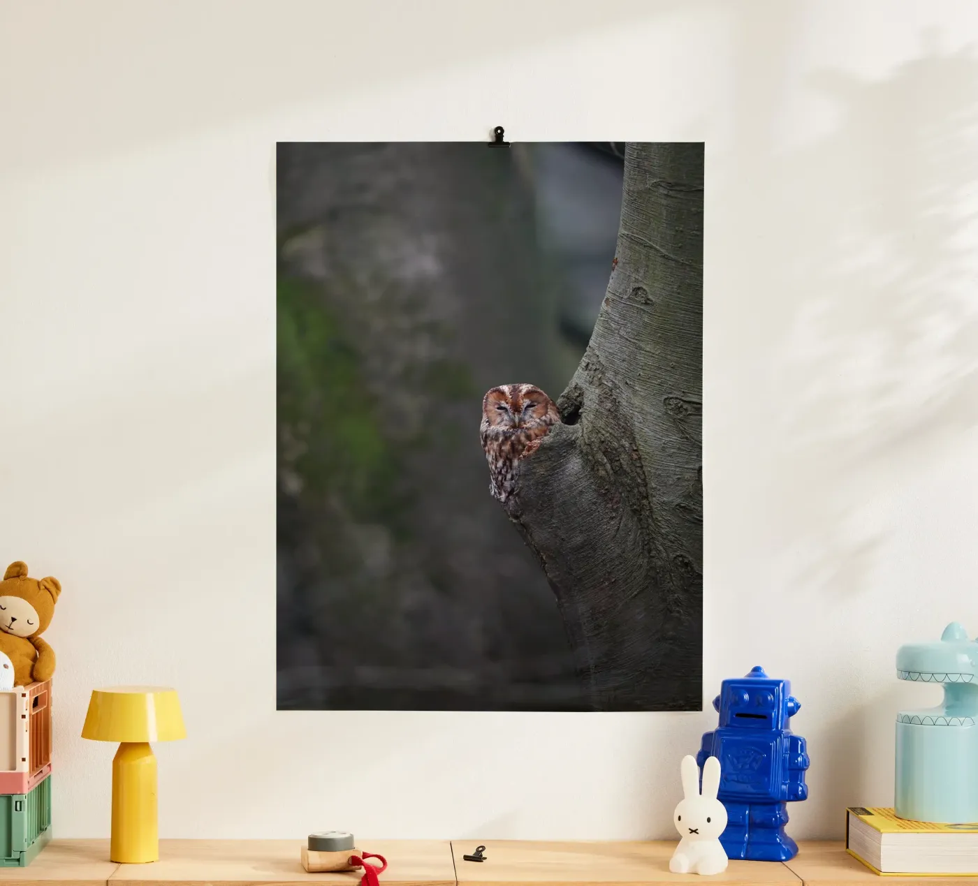 Tawny Owl Poster von Tom's Wildlife