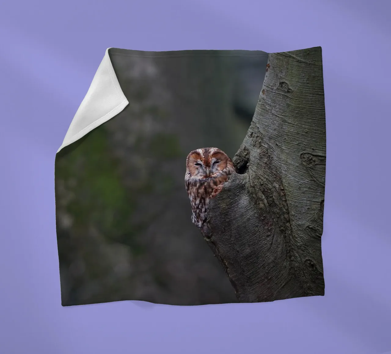 Allocco coperta in pile da Tom's Wildlife