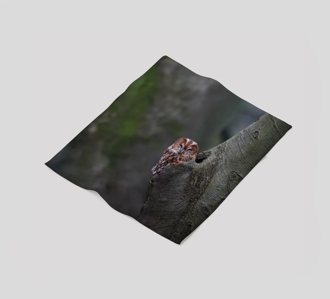 Allocco coperta in pile da Tom's Wildlife