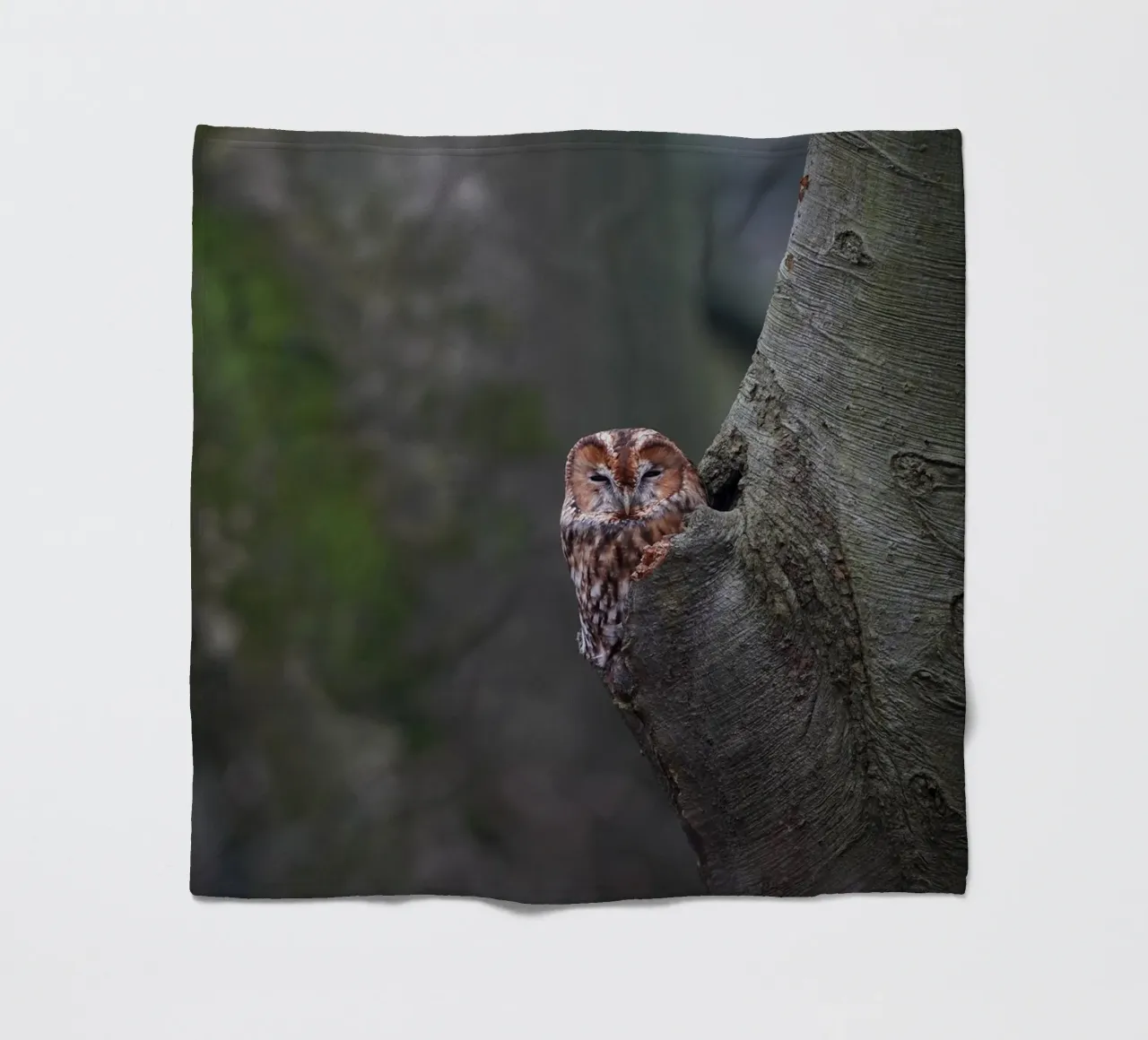 Allocco coperta in pile da Tom's Wildlife