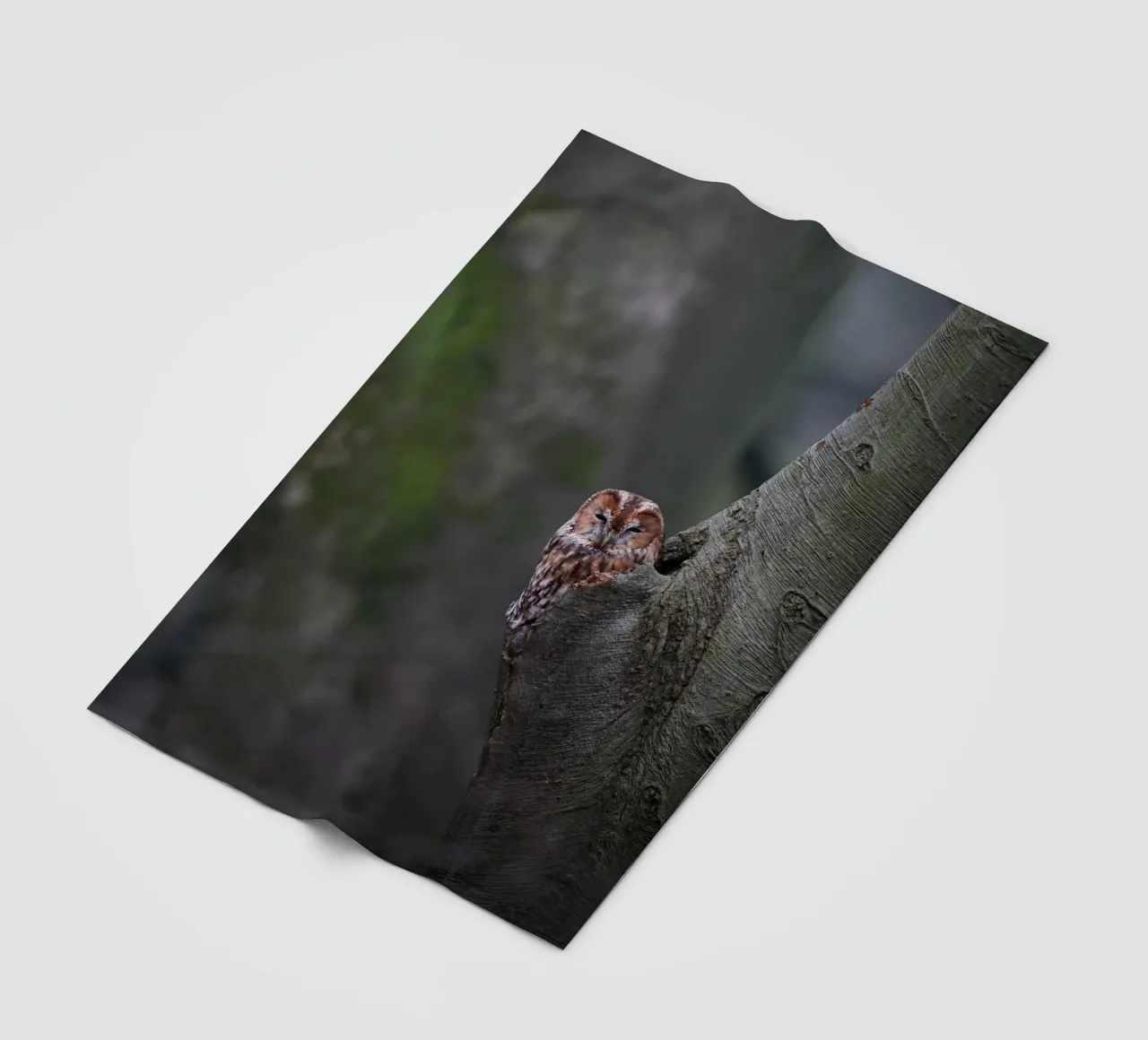 Allocco coperta in pile da Tom's Wildlife