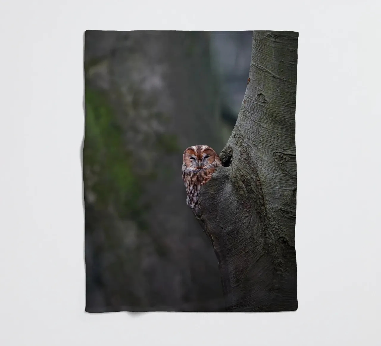 Allocco coperta in pile da Tom's Wildlife