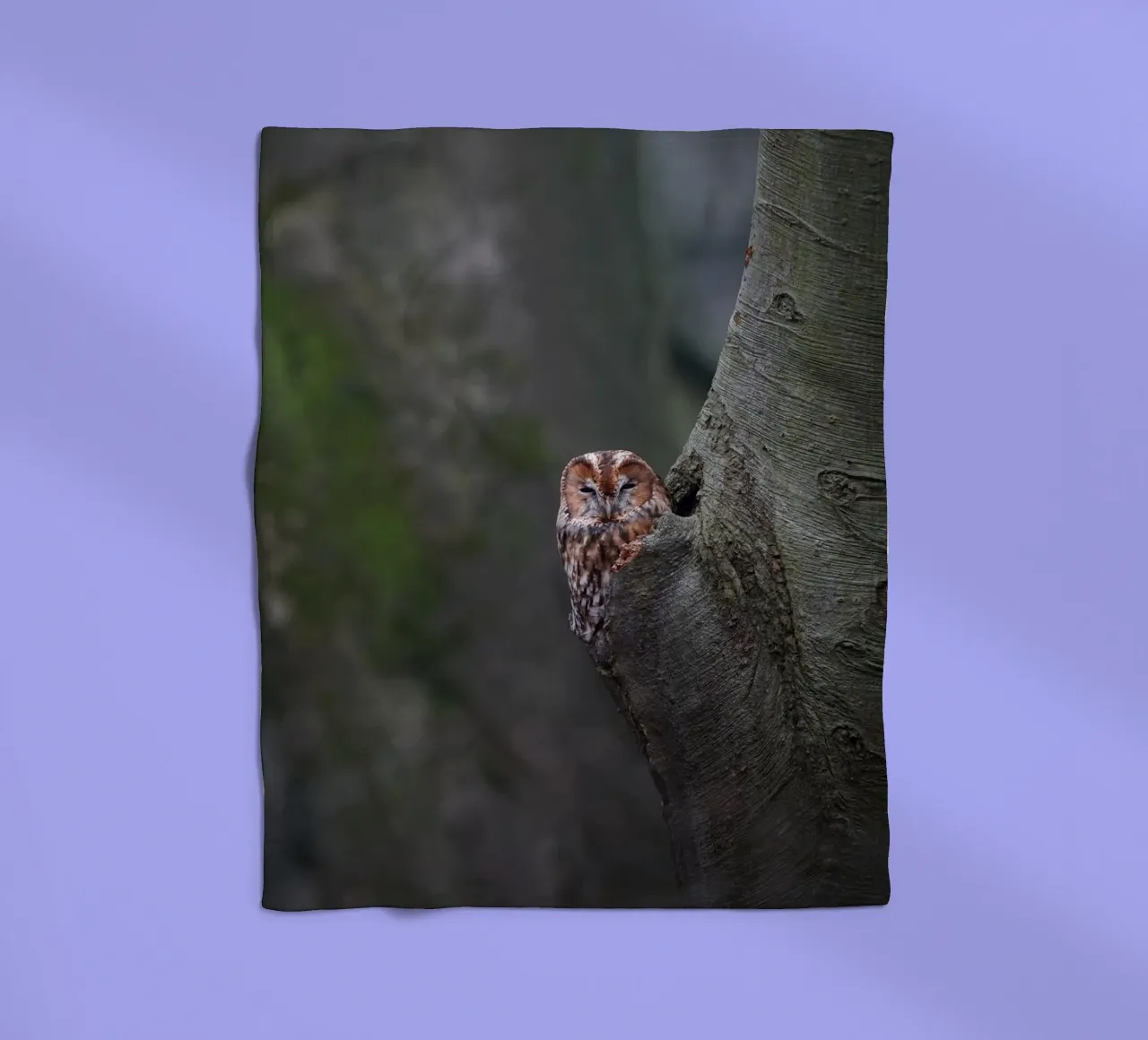 Allocco coperta in pile da Tom's Wildlife