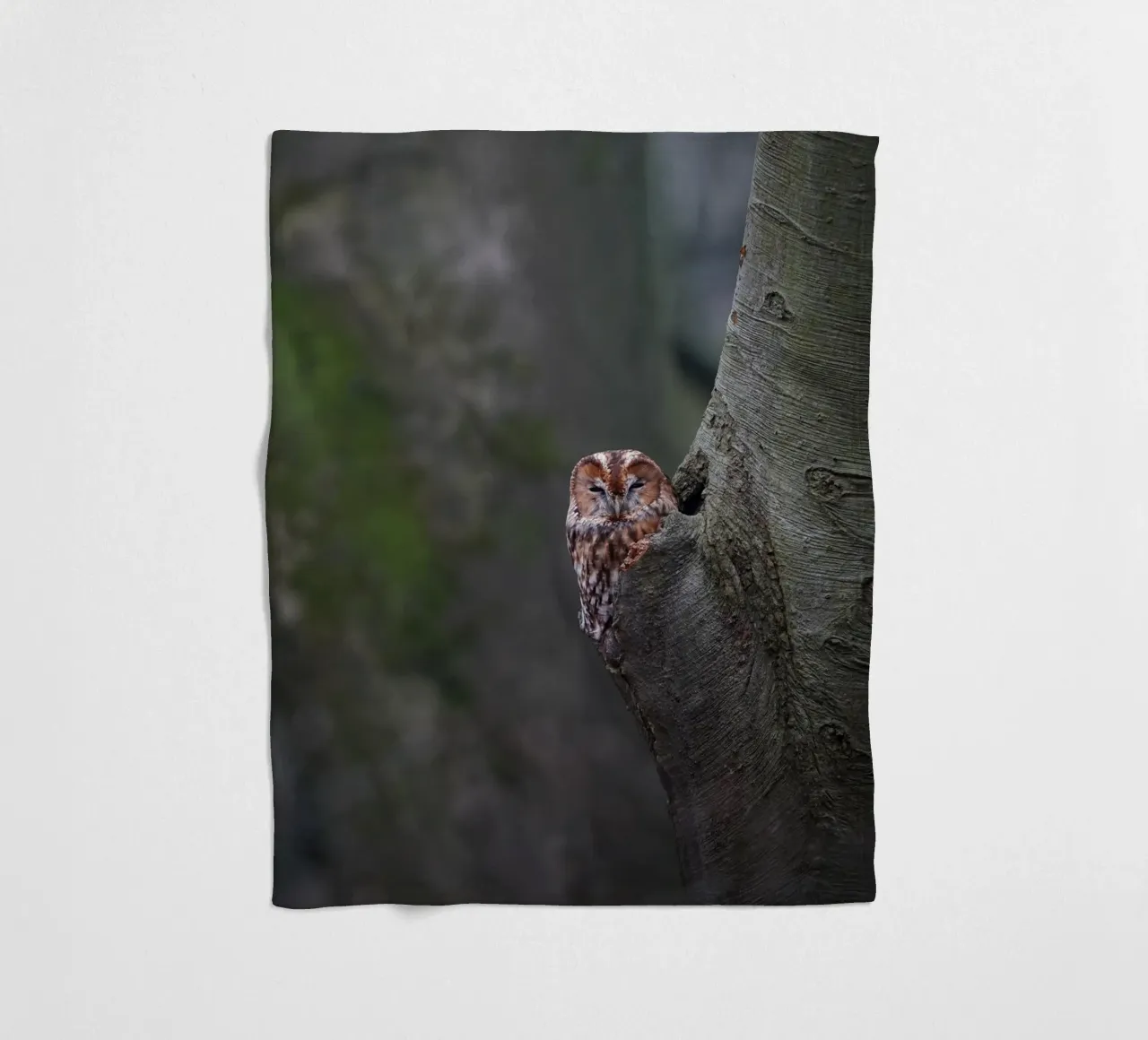 Allocco coperta in pile da Tom's Wildlife