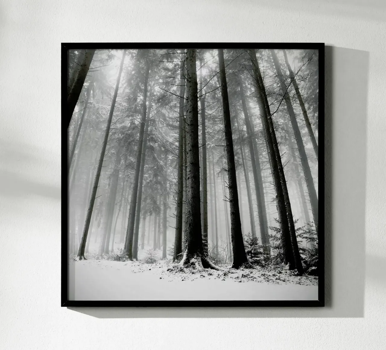 Nur Die Wälder Wissen Warum poster con telaio in plastica da Håggard Photography | Ronny Behnert