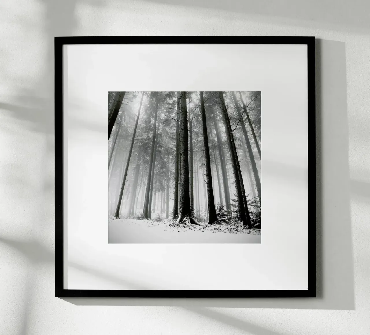 Nur Die Wälder Wissen Warum poster con telaio in plastica da Håggard Photography | Ronny Behnert