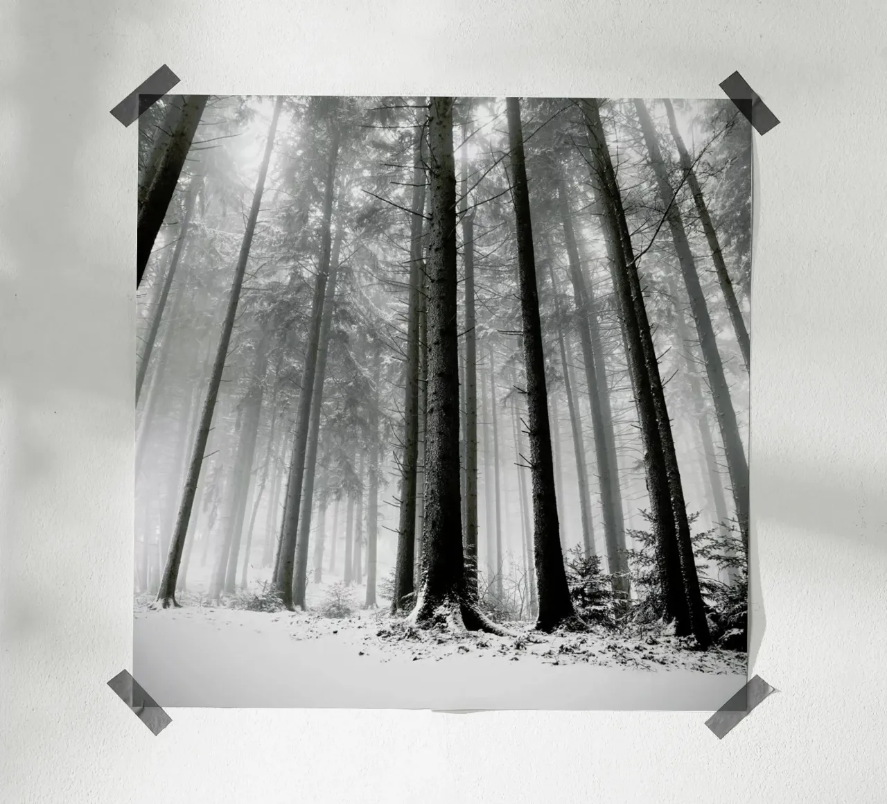 Nur Die Wälder Wissen Warum poster con telaio in plastica da Håggard Photography | Ronny Behnert