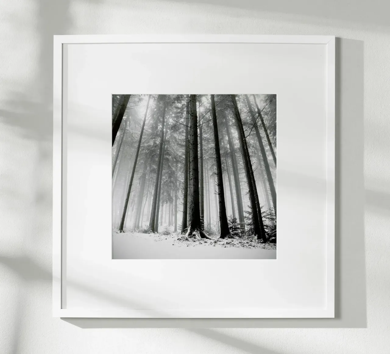 Nur Die Wälder Wissen Warum poster con telaio in plastica da Håggard Photography | Ronny Behnert