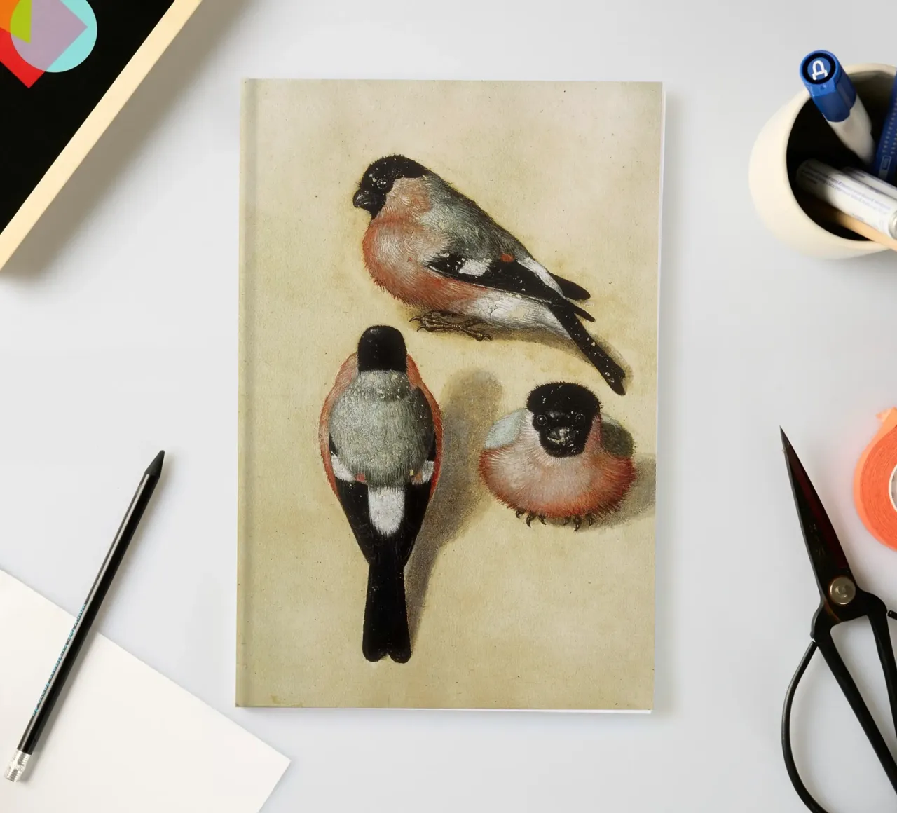 Albrecht Dürer - Bird in three positions notebook by ARTOTHEK