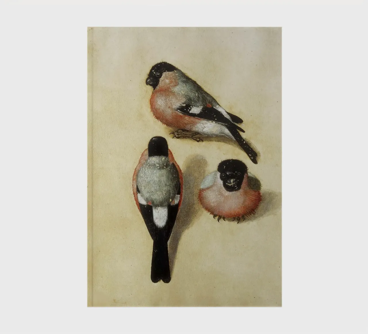 Albrecht Dürer - Bird in three positions notebook by ARTOTHEK
