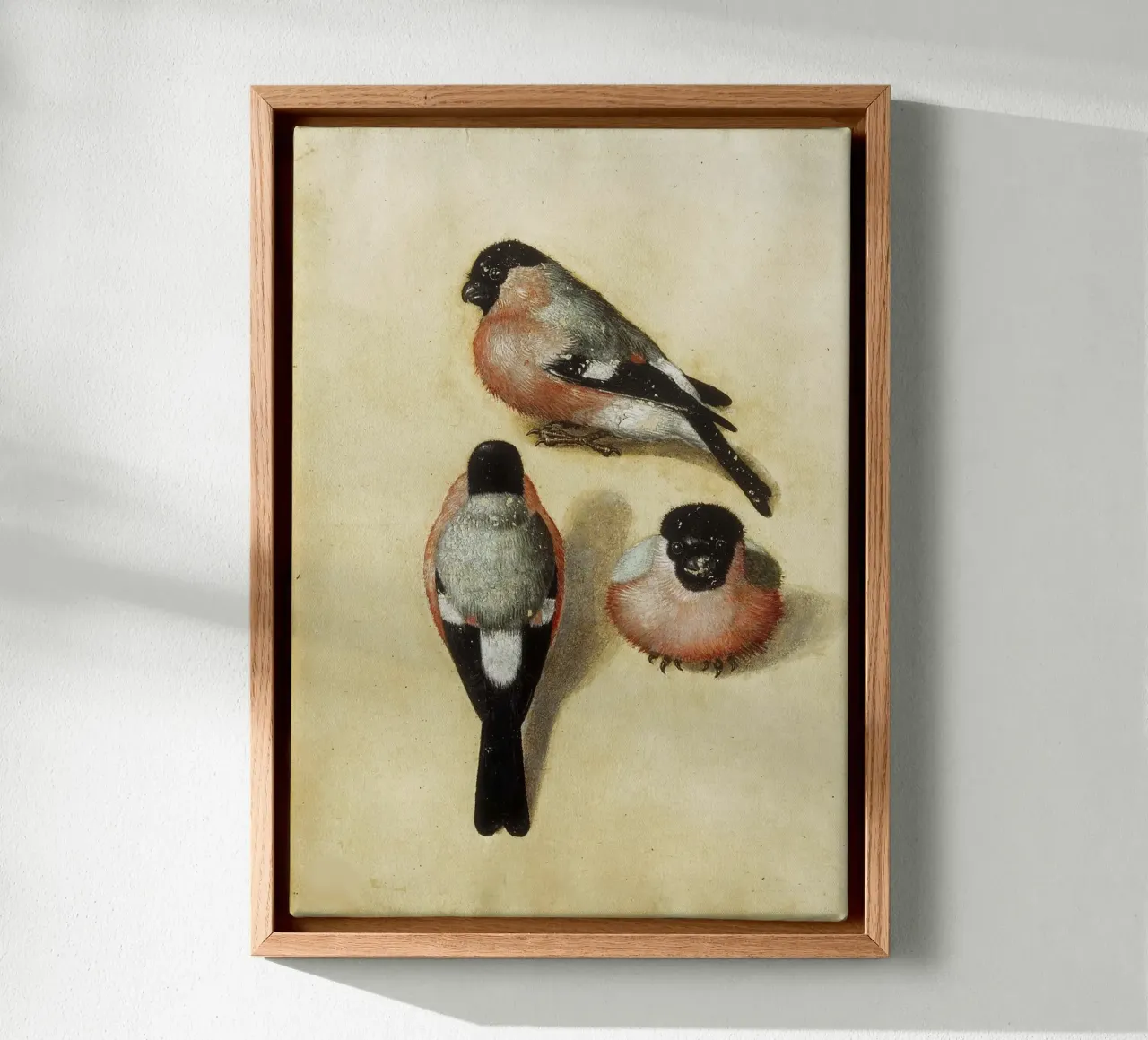 Albrecht Dürer - Vogel in drie posities canvas met Baklijst van ARTOTHEK