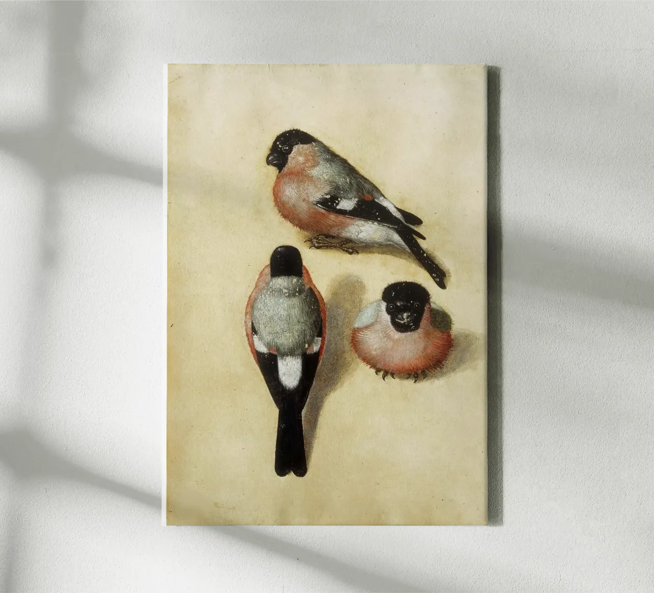 Albrecht Dürer - Vogel in drie posities canvas met Baklijst van ARTOTHEK