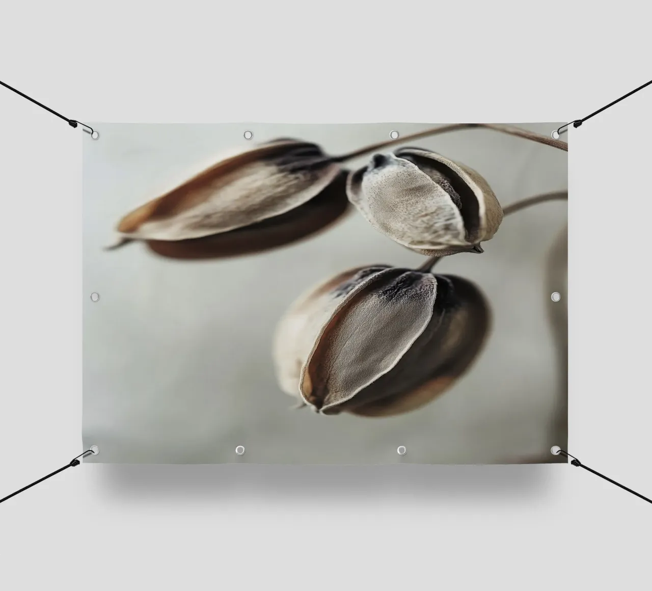 Dry Flower Detail No 18 telo in pvc da treechild