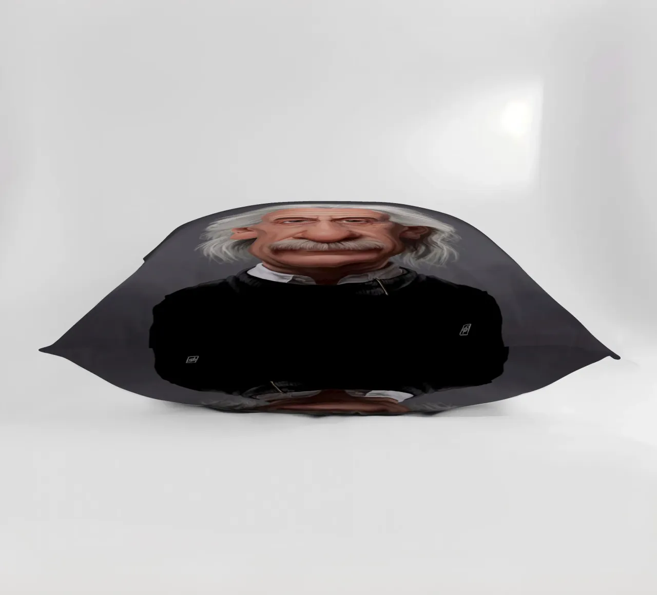 Albert Einstein cuscino da Rob Art | Illustration