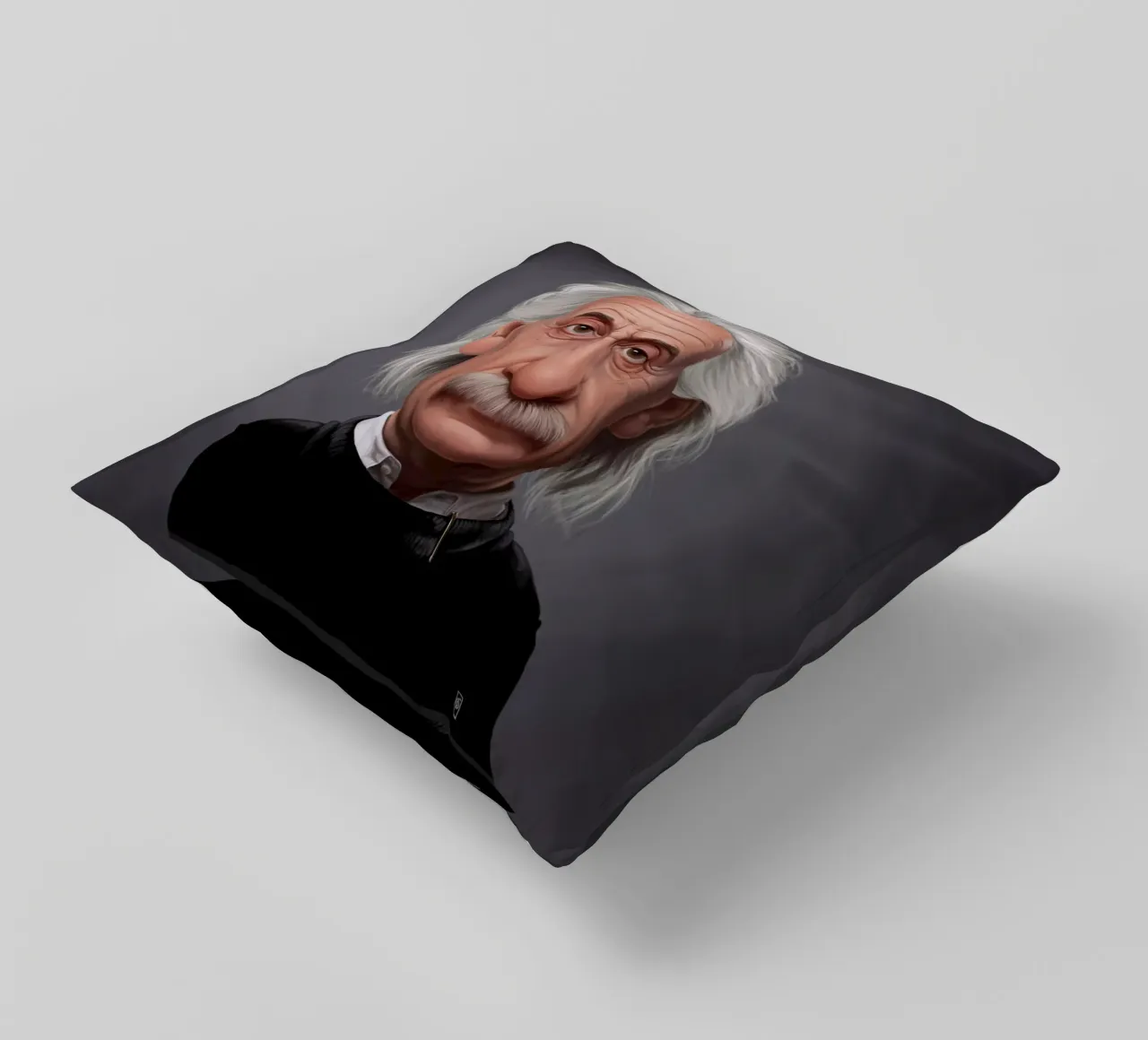 Albert Einstein cuscino da Rob Art | Illustration