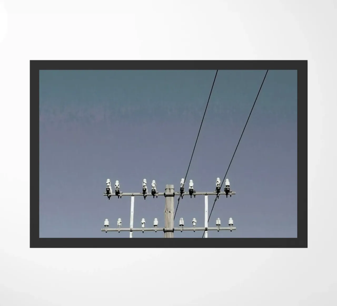 Communication zerbino da Ballack Art House