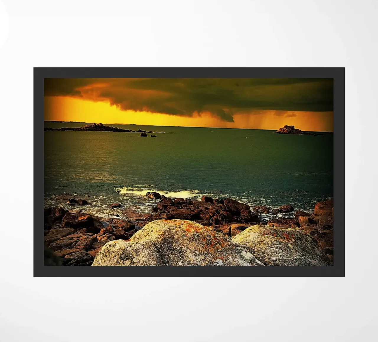 FAA125 zerbino da Thierry vobmann photography