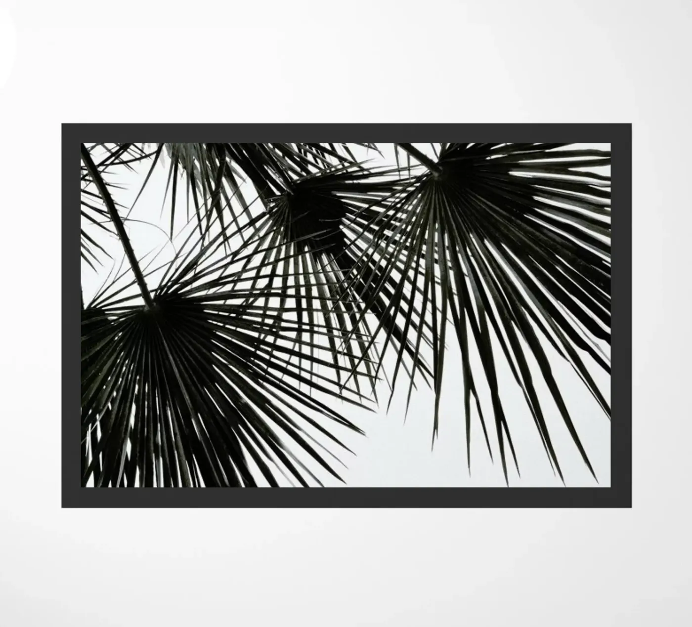 Endless Summer - Wind zerbino da Studio Nahili