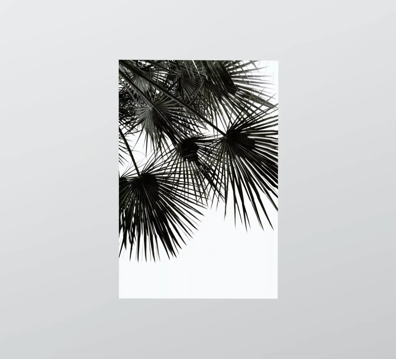 Endless Summer - Wind sticker by Studio Nahili