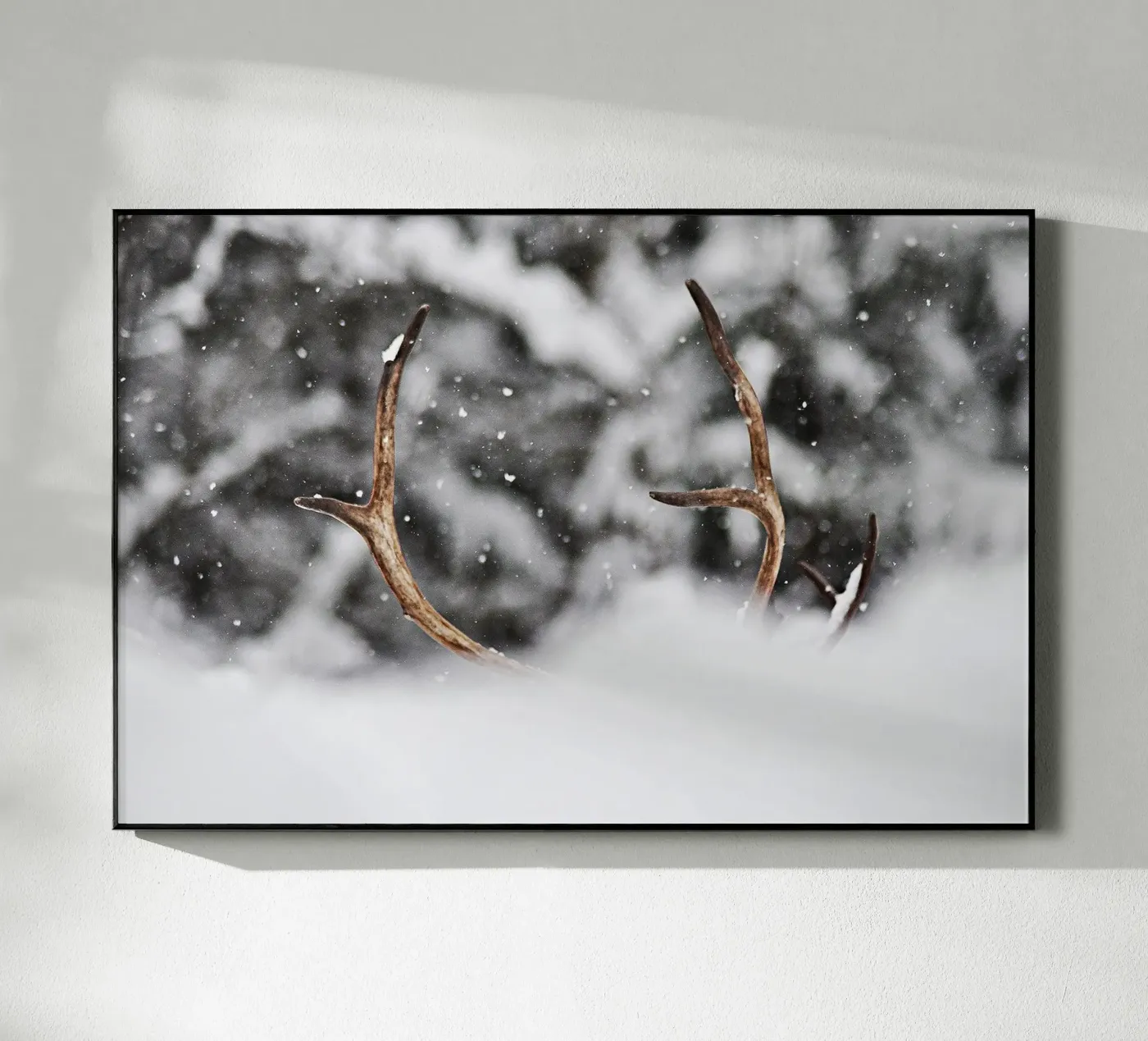 Reindeer Acryl-Glas von abnerssonstudio