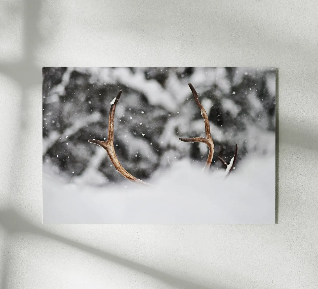 Renna plexiglass da abnerssonstudio