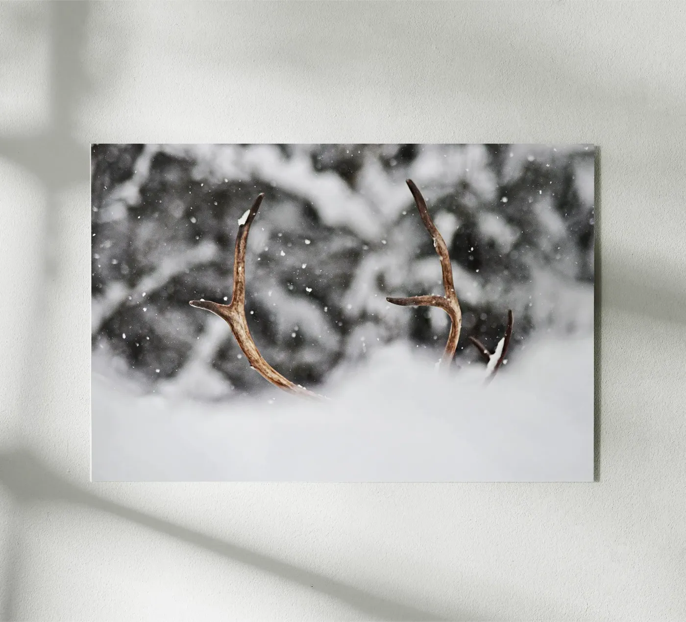 Reindeer Acryl-Glas von abnerssonstudio