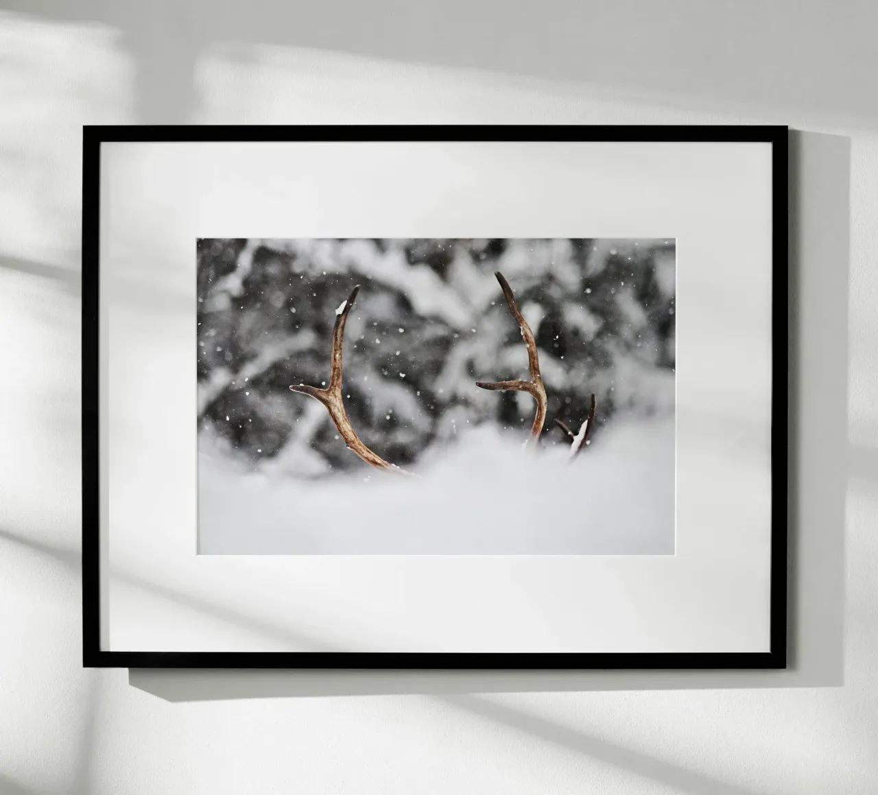 Renna poster con telaio in alluminio da abnerssonstudio