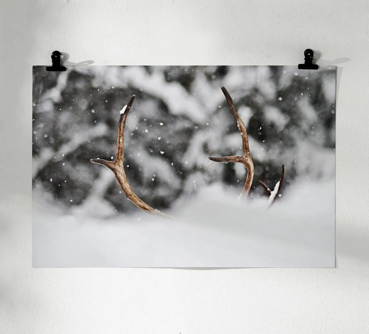 Renna poster con telaio in alluminio da abnerssonstudio