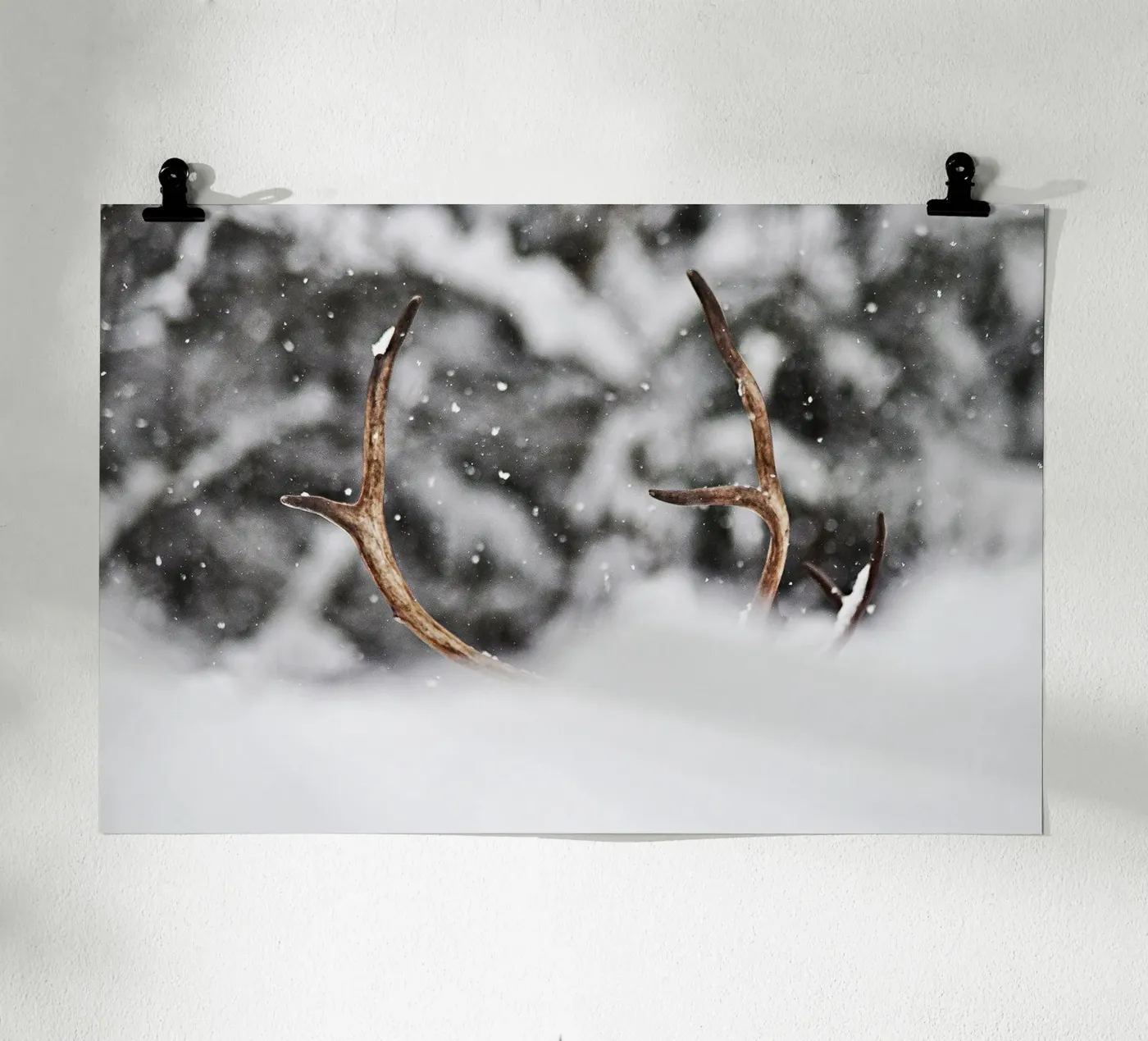 Renne poster de abnerssonstudio