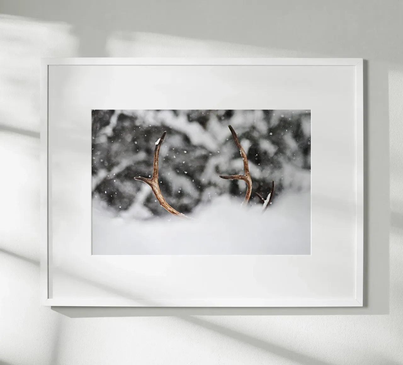 Renna poster da abnerssonstudio